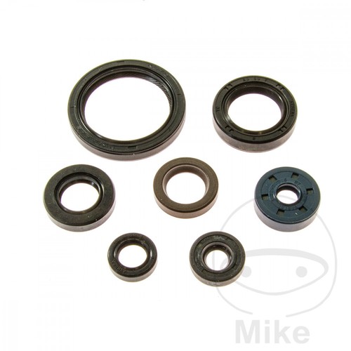 Oil seal set ath - oil,